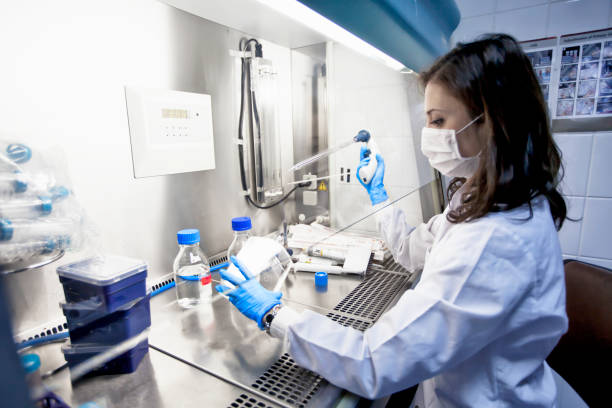  Open  Recovery: Denver's Leading Provider of Stem Cell Therapy for Knees